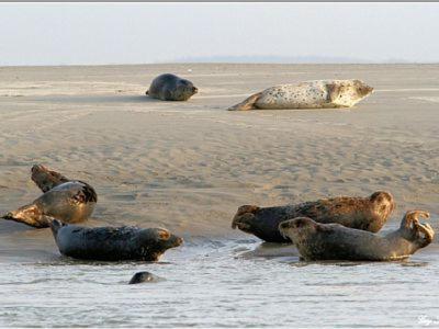 Gite De La Baie D'Authie Groffliers Екстер'єр фото